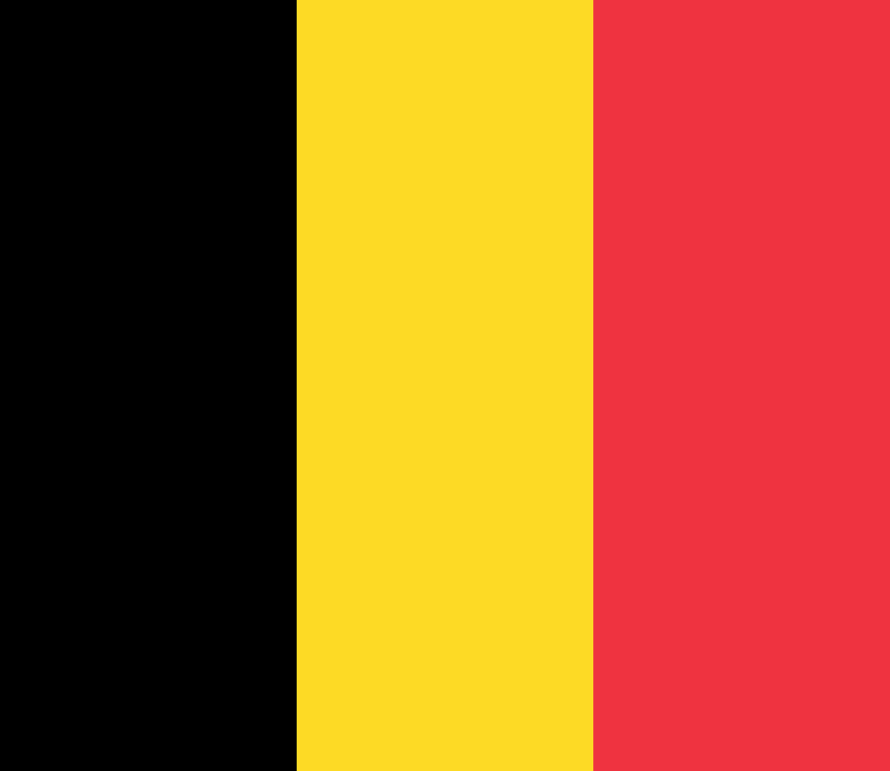 Belgium national team flag