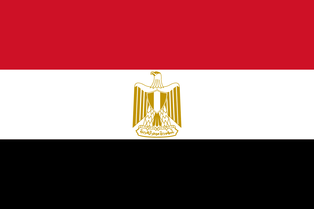 Egypt national team flag