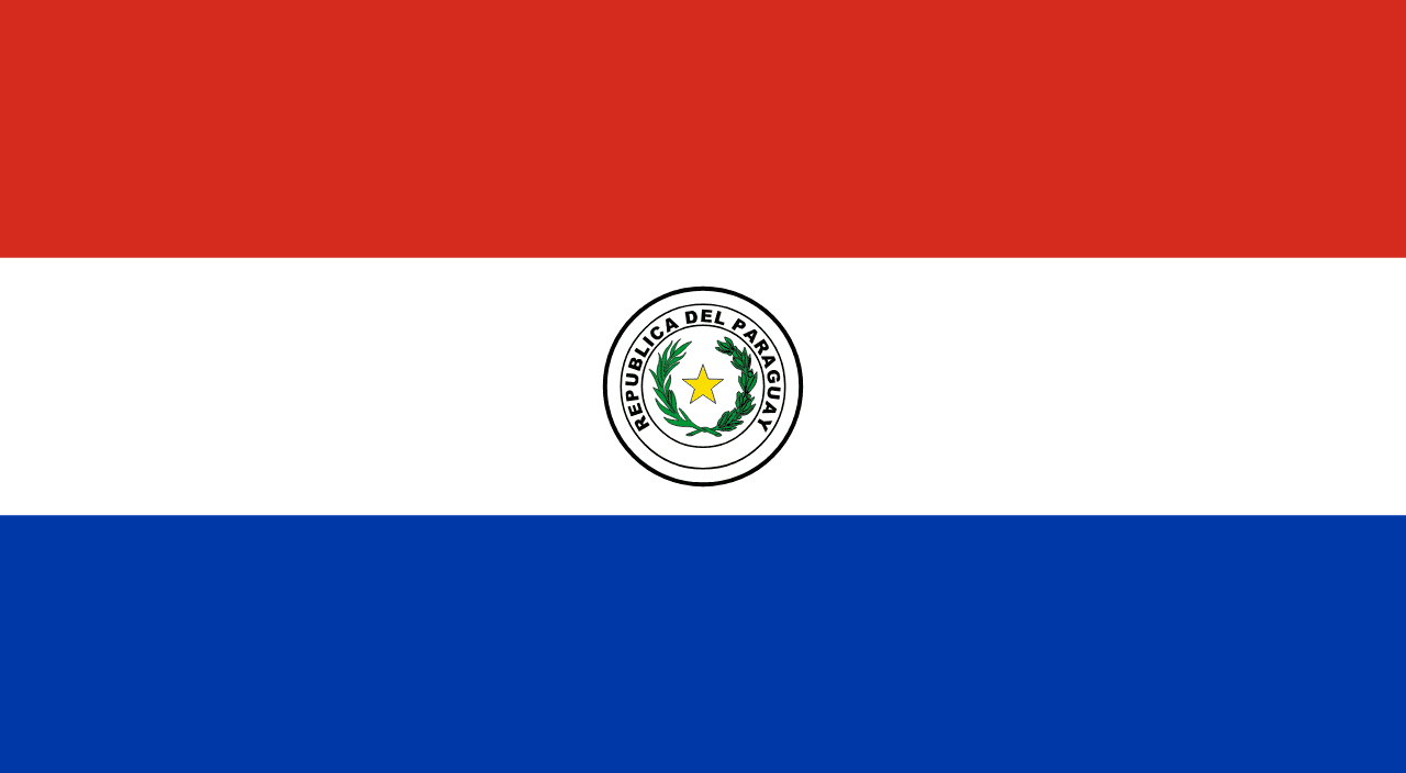 Paraguay national team flag