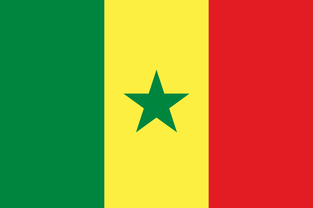 Senegal national team flag