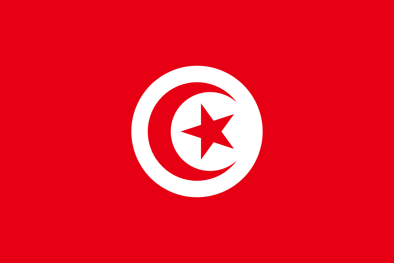 Tunisia national team flag
