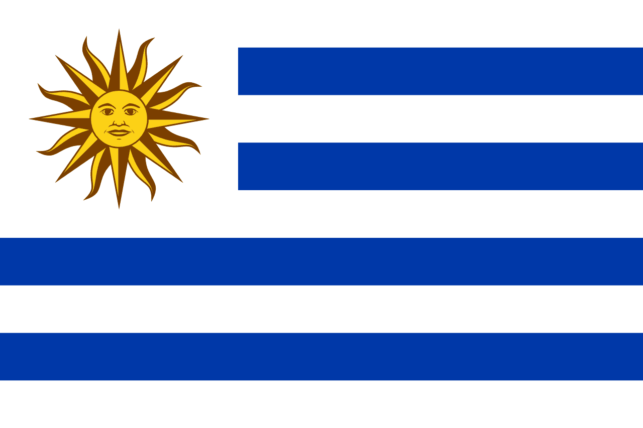Uruguay national team flag